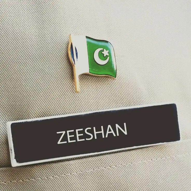 Pins